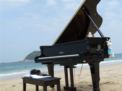 奥格钢琴海滩宣传摄影